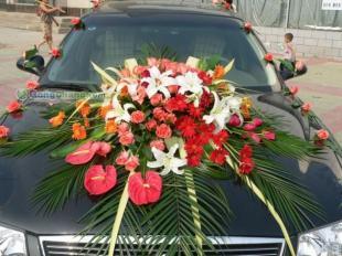 帝9婚庆 一站式洛阳个性婚庆服务专家