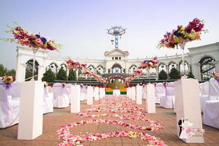 嘉美盛世 以光影定格永恒，专业主题婚礼策划中的视觉艺术